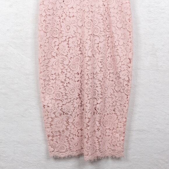 EXPRESS Bustier Corset Sheath Dress Pink Lace Coquette Date Night Feminine Sz 2 - Picture 5 of 8